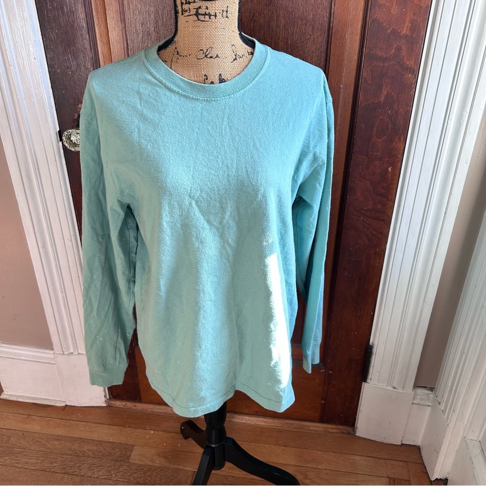 Carhartt Teal Long Sleeve Shirt